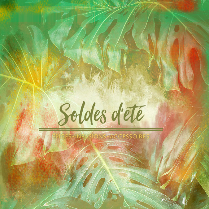 soldes-ete-2019-mesepices-com